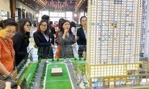 Tất cả người dân có bất động sản chú ý quy định phạt đến 40 triệu đồng