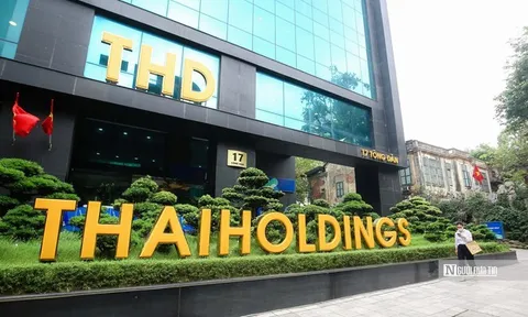 Thaiholdings đăng ký mua thêm 78,32 triệu cổ phần Thaigroup