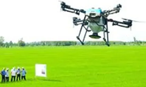 6.000 drone đang làm việc trên đồng ruộng Đồng bằng sông Cửu Long