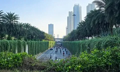 Hà Nội định hướng mỗi tuyến phố trồng một loài cây đặc trưng