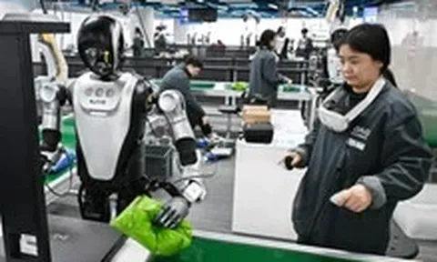Nghề lạ ở Trung Quốc: Dạy robot thay thế con người, kiếm 900 USD/tháng