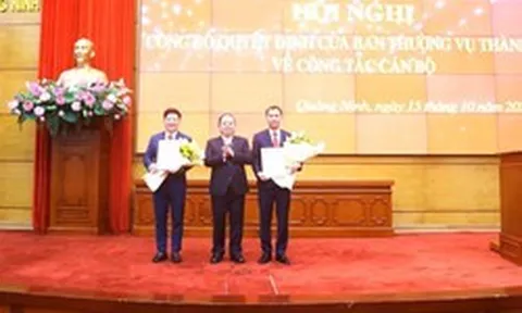 Quảng Ninh điều động, bổ nhiệm loạt cán bộ cấp sở, ngành và lãnh đạo xã, phường