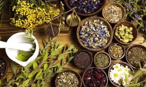 Xây dựng y học cổ truyền thành bộ phận quan trọng của hệ thống y tế quốc gia