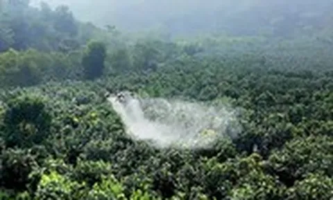 Dùng UAV hỗ trợ nông dân trên cánh đồng Điện Biên