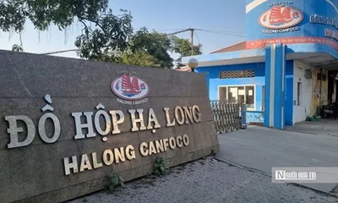 Sau vụ heo nhiễm dịch, Đồ hộp Hạ Long kinh doanh ra sao?