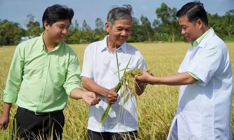 Hàng tồn kho của PAN vượt 4.300 tỷ đồng