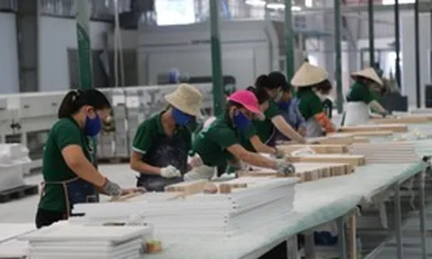 Gỗ Trường Thành: Lỗ chồng lỗ, vốn chủ sở hữu chỉ còn 20 tỷ đồng