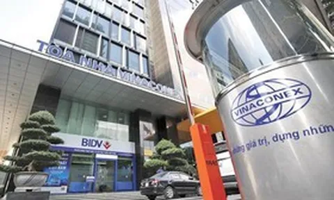 Dòng tiền kinh doanh âm hơn 1.800 tỷ đồng, Vinaconex đang dồn vốn vào đâu?