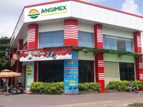 Biến động nhân sự tại Angimex giữa áp lực thanh lý tài sản