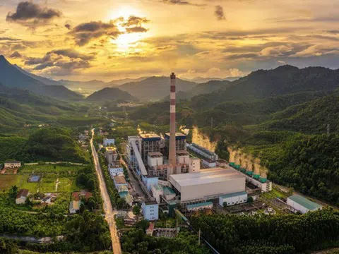 Điện lực TKV đặt mục tiêu lợi nhuận khiêm tốn trong năm 2025