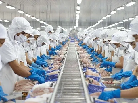 Vĩnh Hoàn bị phạt nặng