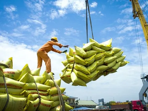 Xuất khẩu gạo Việt Nam trước động thái từ Philippines: Ổn định và chủ động ứng phó