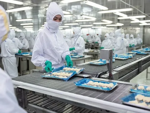 Tổng Giám đốc Fimex xin nghỉ sau gần 3 thập kỷ