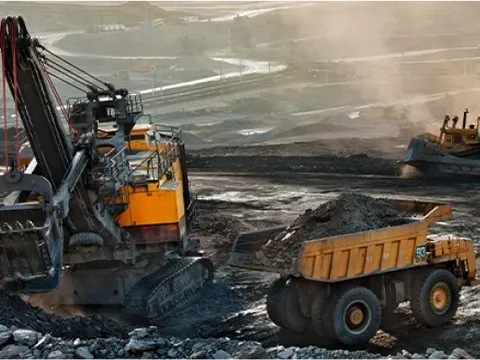 Lợi nhuận Coalimex giảm mạnh trong quý III/2025