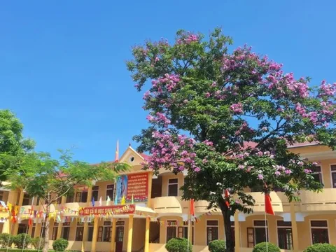 Nam sinh lớp 11 đánh học sinh lớp 9 tử vong