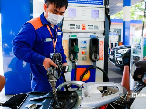 Bức tranh phân cực của các "ông lớn" xăng dầu trong quý III/2025