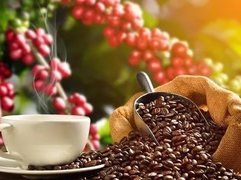 THỊ TRƯỜNG HÀNG HÓA: Khủng hoảng kép trên toàn thị trường cà phê