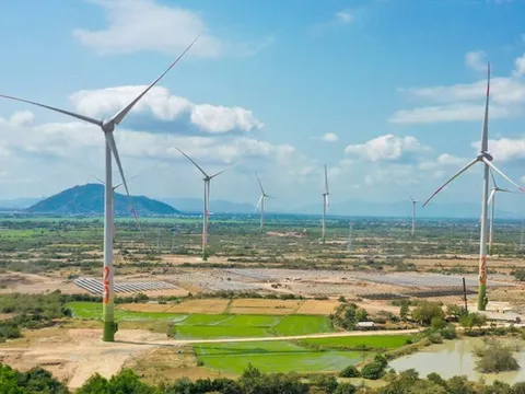 Hai công ty năng lượng bị xử phạt do công bố thông tin sai lệch