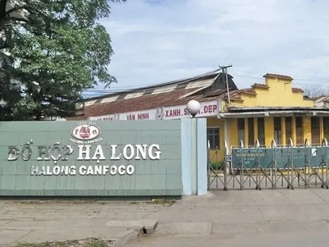 Doanh thu Đồ hộp Hạ Long có thể phục hồi từ "thực phẩm thú cưng"?