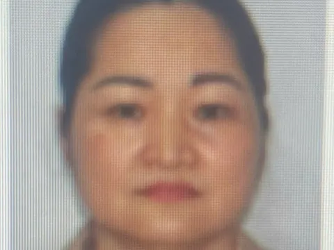 Bắt "bà trùm" Phạm Thị Bích Phượng