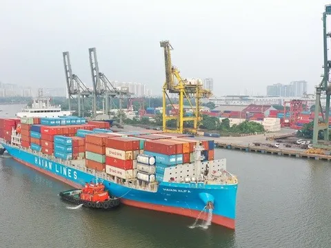 Nhiều doanh nghiệp logistics tại Hải Phòng bội thu