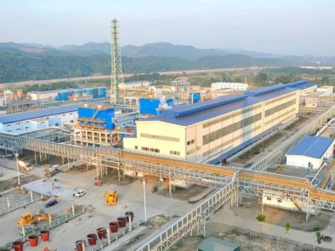 Vimico đối mặt nguy cơ hủy tư cách công ty đại chúng từ năm 2026