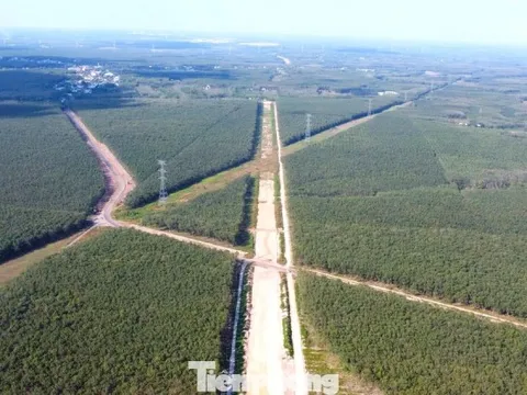 Hình hài đường cao tốc TPHCM đi Tây Nguyên sau gần 1 năm khởi công