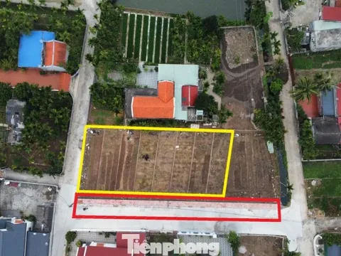 Hải Phòng cho phép chuyển đổi mục đích sử dụng đất trở lại