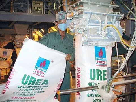 Đạm Phú Mỹ đặt kế hoạch doanh thu tăng trưởng hai chữ số, lên tới 17.600 tỷ đồng năm 2026