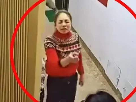 Công an xác minh vụ hành hung phụ nữ tại chung cư ở Hà Nội