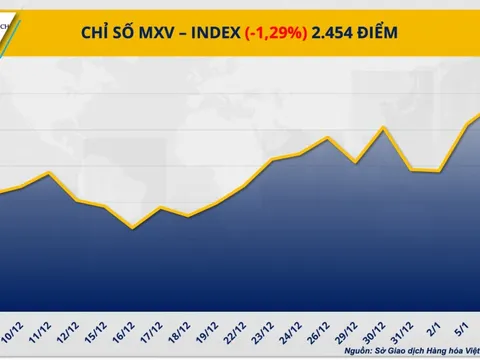 THỊ TRƯỜNG HÀNG HÓA: Giá bạch kim lao dốc, lúa mì ‘nóng’ dần theo vụ mùa Mỹ