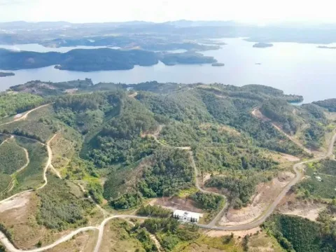 Thu hồi toàn bộ 3.600 ha đất cấp cho dự án Sài Gòn Đại Ninh