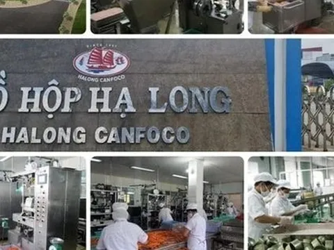 Người lao động Công ty CP đồ hộp Hạ Long lo lắng liệu có được thưởng Tết Nguyên đán?