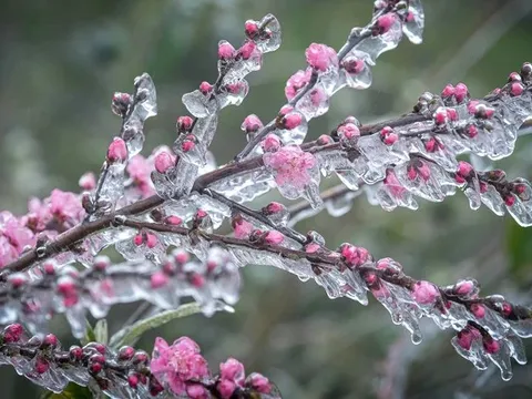 Tin không khí lạnh mới nhất: Miền Bắc tái diễn rét đậm rét hại, nguy cơ băng giá