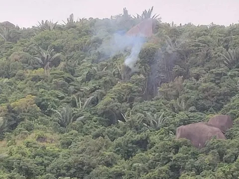 Rơi máy bay quân sự ở Đắk Lắk, phi công kịp thời nhảy dù thoát nạn