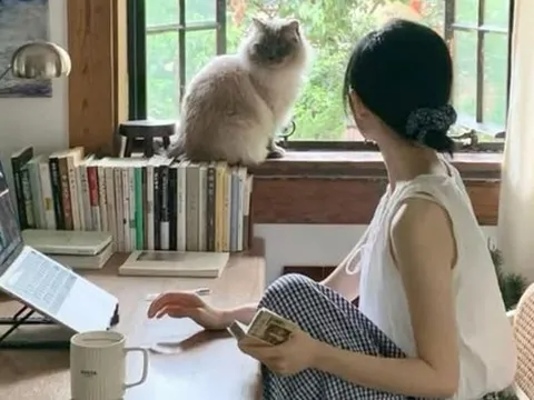 Vừa mua căn hộ tầng 26, tôi hối hận và bán gấp để xuống tầng 5: Bài học đắt giá không có trong quảng cáo