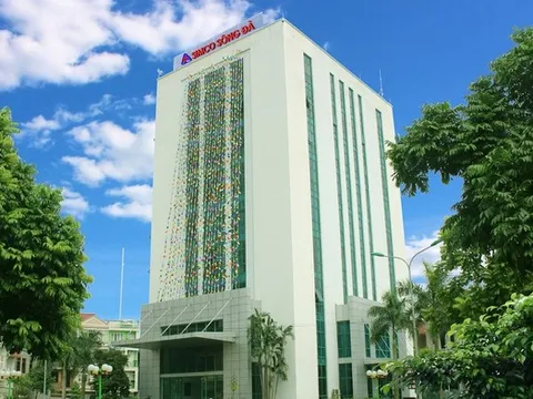 Đình chỉ giao dịch 4 tháng với lãnh đạo SIMCO Sông Đà