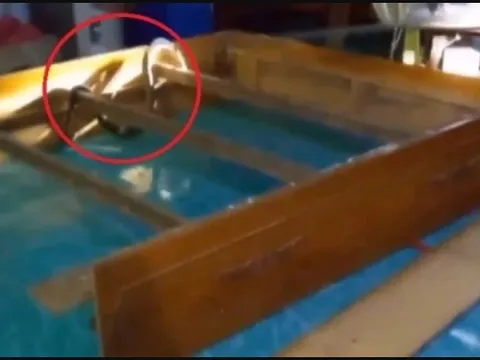 Nghe tiếng động lạ dưới gầm giường, chủ nhà "đứng tim" khi phát hiện 'vị khách không mời' khổng lồ