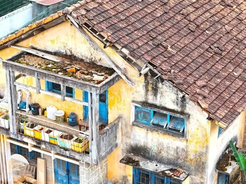 Cận cảnh biệt thự, khu nhà đất 'vàng' bỏ hoang, lãng phí ở Ðà Lạt