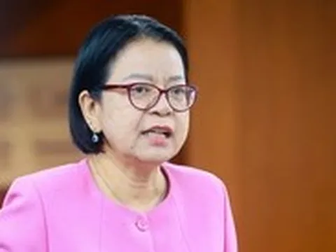 TP.HCM sẽ đưa dữ liệu giao thông, dân cư lên bản đồ số dùng chung