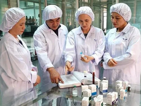 Bidiphar lọt Top 10 Doanh nghiệp ESG năm 2026 ngành Dược – Thiết bị Y tế