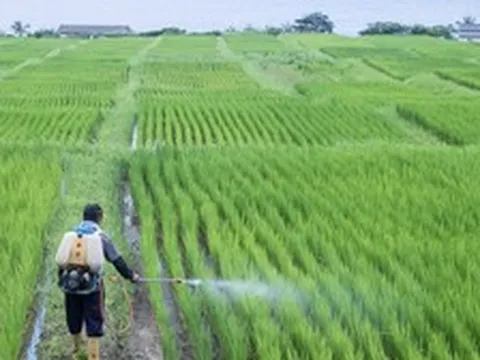 Phát minh của Trung Quốc xoay chuyển ngành phân bón: Ép chất thải độc hại thành nguyên liệu cho nông nghiệp, hiệu suất cao gấp 3 lần bình thường