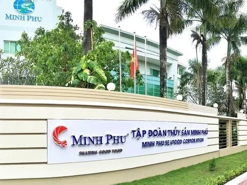 "Vua tôm" Minh Phú lãi quý I/2026 gấp 12,5 lần, hoàn thành gần 20% kế hoạch năm