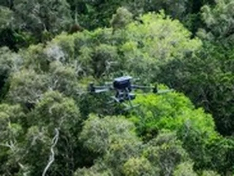 Cà Mau dùng flycam tầm nhiệt và ‘mắt thần’ canh lửa phòng chống cháy rừng