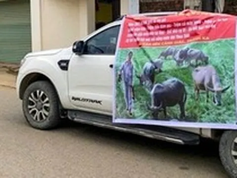 Em trai làm băng rôn nói xấu anh khắp làng ở Hà Nội: Hé lộ nguồn cơn và cái kết