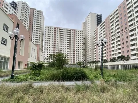 Hà Nội hỗ trợ tạm cư 2,5 triệu đồng/nhân khẩu, mức tối đa lên tới 15 triệu đồng/hộ/tháng