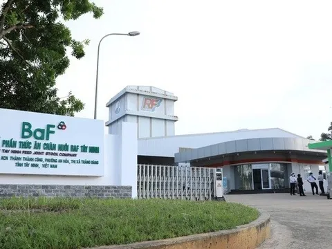 BAF chốt quyền phát hành cổ phiếu tỉ lệ 20%, chuẩn bị huy động thêm 1.200 tỷ đồng