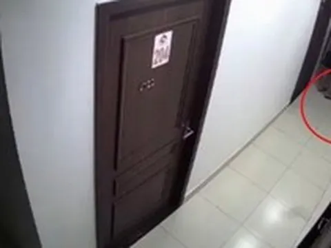 Xôn xao nam thanh niên đá chết chú chó rồi bỏ vào thùng rác chung cư ở Hải Phòng: Người đăng clip lên tiếng